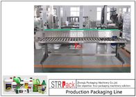 Os produtos químicos engarrafam a linha tipo de rolamento transporte da máquina de embalagem da embalagem de Catonning do manual